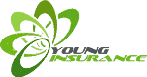 Young Insurance Agency Inc - Logo 500