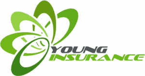 Young Insurance Agency Inc - Logo 500