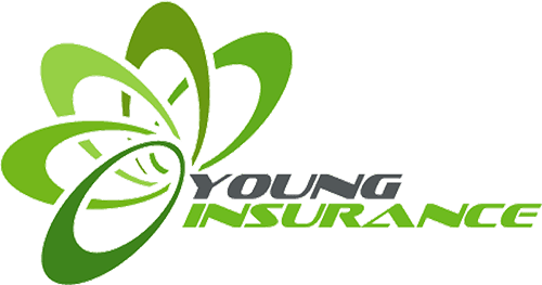 Young Insurance Agency Inc